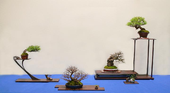 Neolanders 07 (102)a.jpg